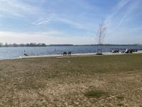 Photo 2 of Valkenburgse meer